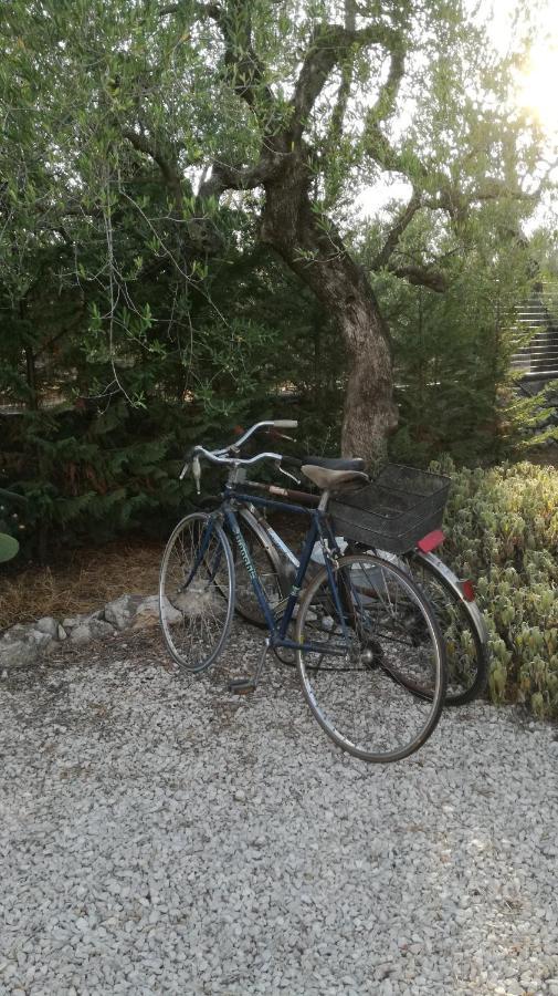 Frühstückspension Mediterranee Con Parking Space