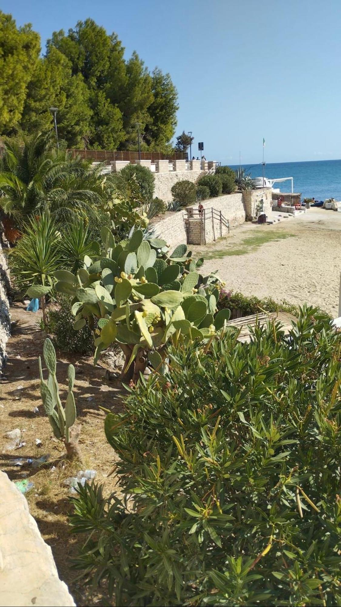 Mediterranee Con Parking Space Trani