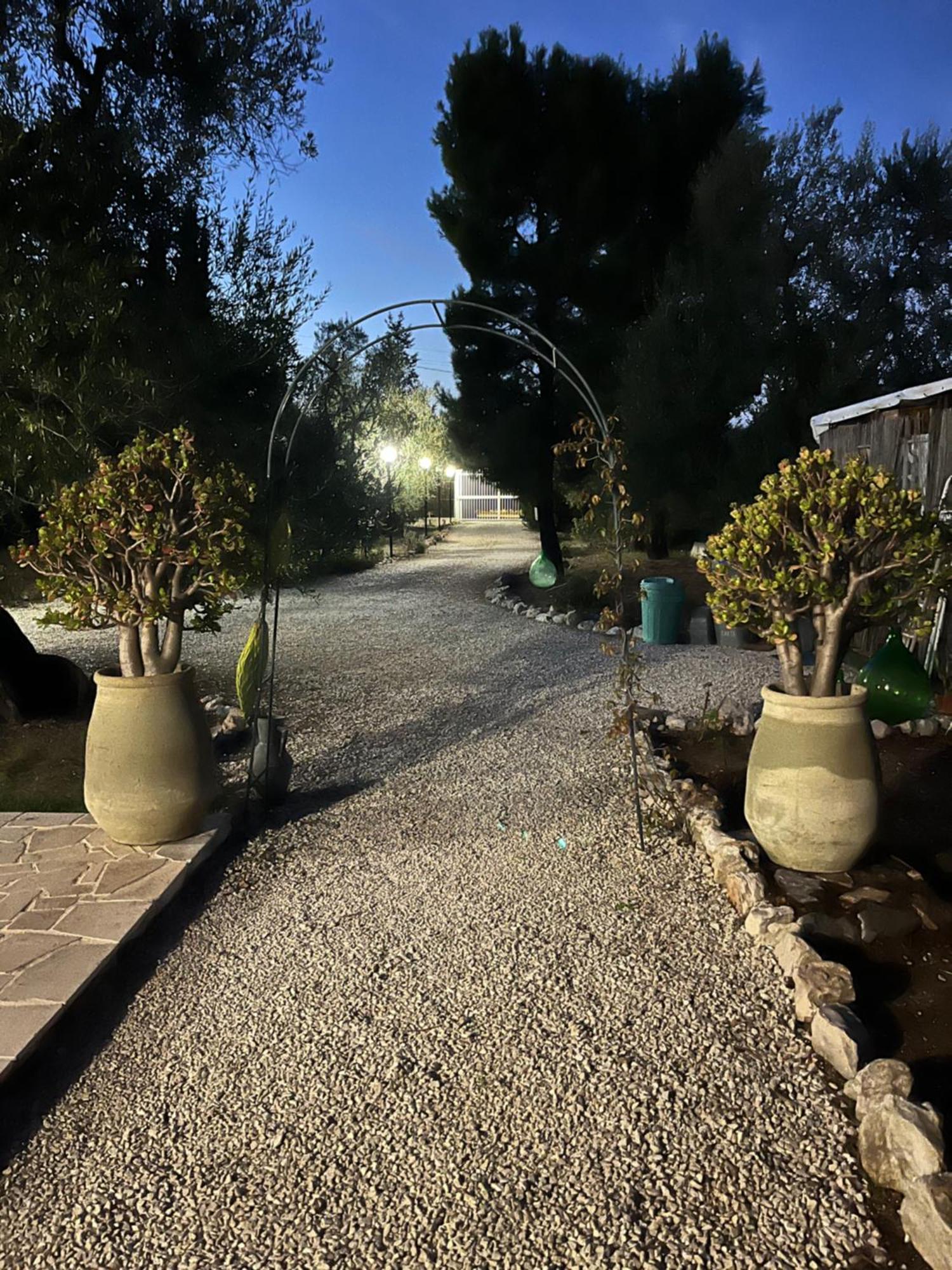 Mediterranee Con Parking Space 3*